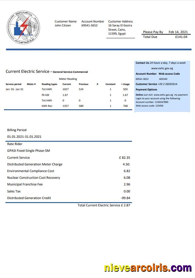 Egypt Egyptian Electricity utility bill